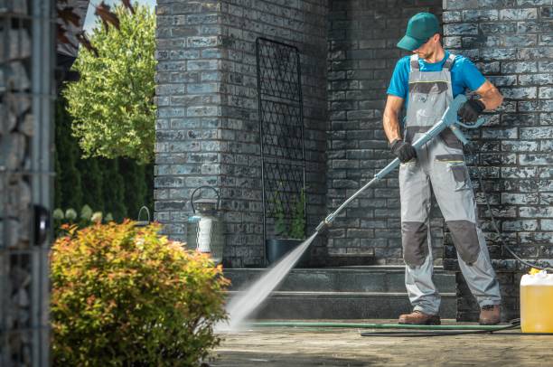 Best Driveway Pressure Washing  in West Miami, FL